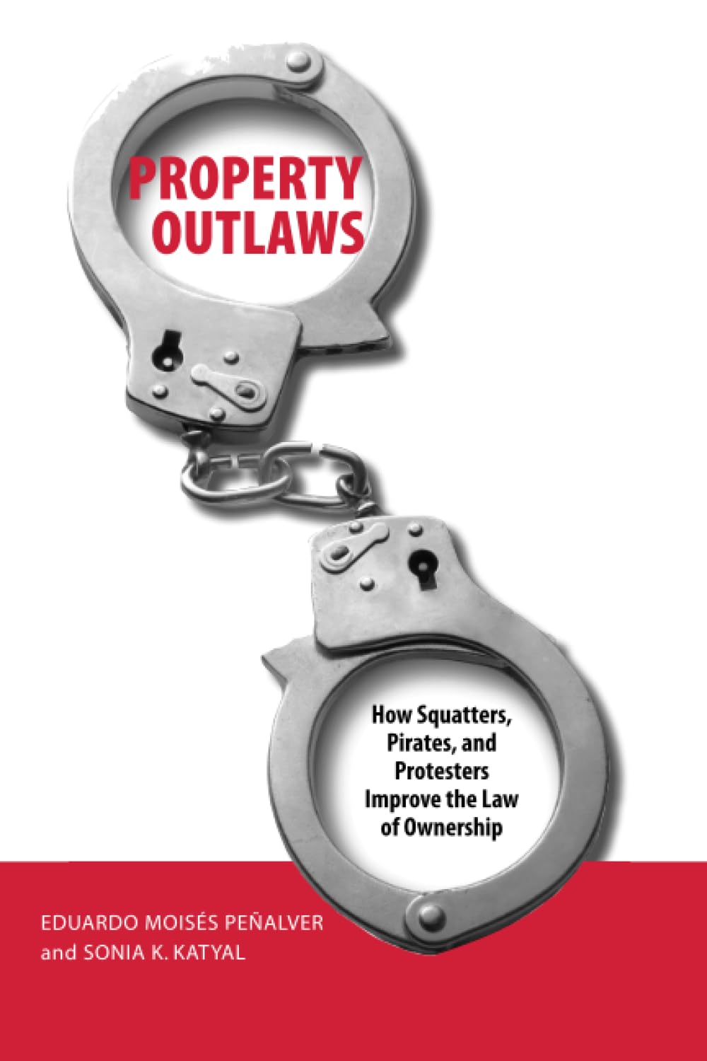 Property Outlaws: How Squatters, Pirates, and Protesters Improve the Law of Ownership