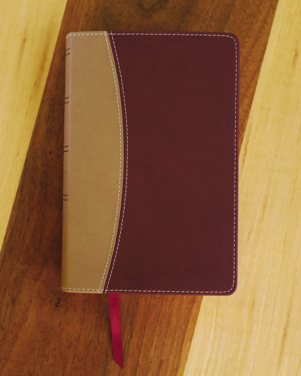 Amplified Holy Bible, Compact, Leathersoft, Tan/Burgundy: Ca