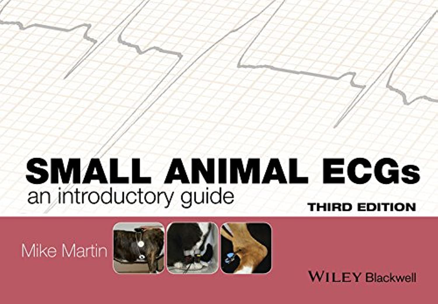 Small Animal ECGs: An Introductory Guide