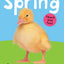 Bright Baby Touch and Feel Spring