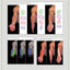 Anatomy For Sculptors, Understanding the Human Figure by Uld