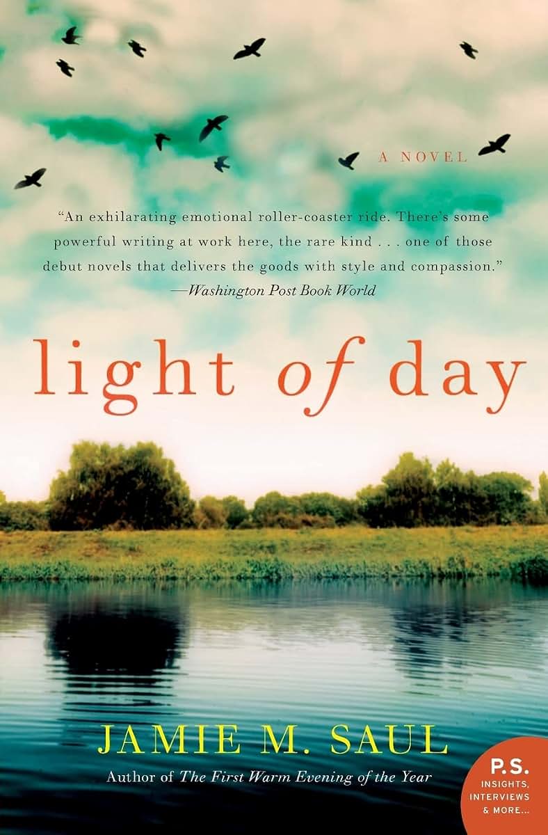 Light of Day: A Novel