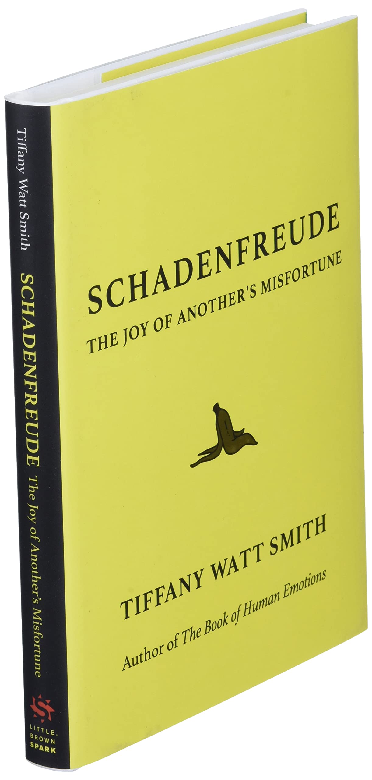 Schadenfreude: The Joy of Another's Misfortune