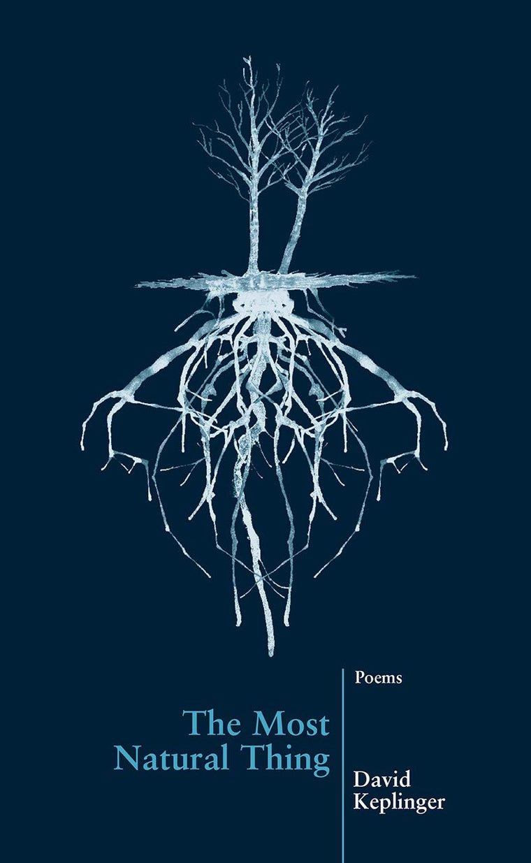 The Most Natural Thing (New Issues Poetry & Prose)
