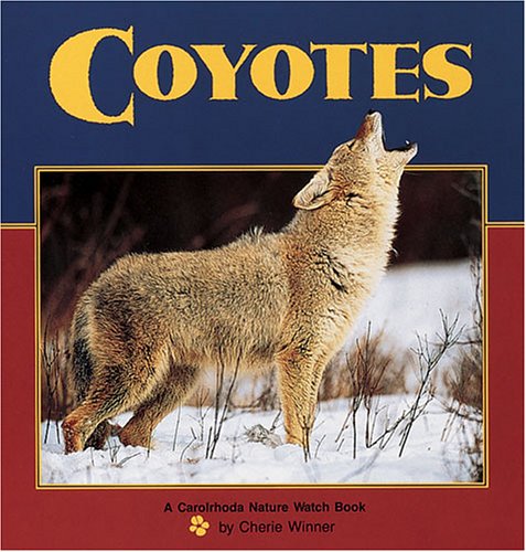 Coyotes (Nature Watch)