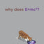 Why Does E=mc2? (And Why Should We Care?) by Cox, Brian