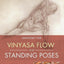 Yoga Mat Companion 1: Anatomy for Vinyasa Flow and Standing Poses