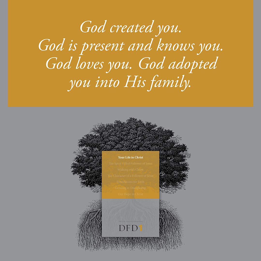 Your Life in Christ (Design for Discipleship)