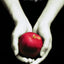 Twilight (The Twilight Saga, Book 1)