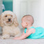 Babies Love Animals Chunky Lift-a-Flap Board Book (Babies Love)