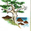 A Tree Is Nice: A Caldecott Award Winner