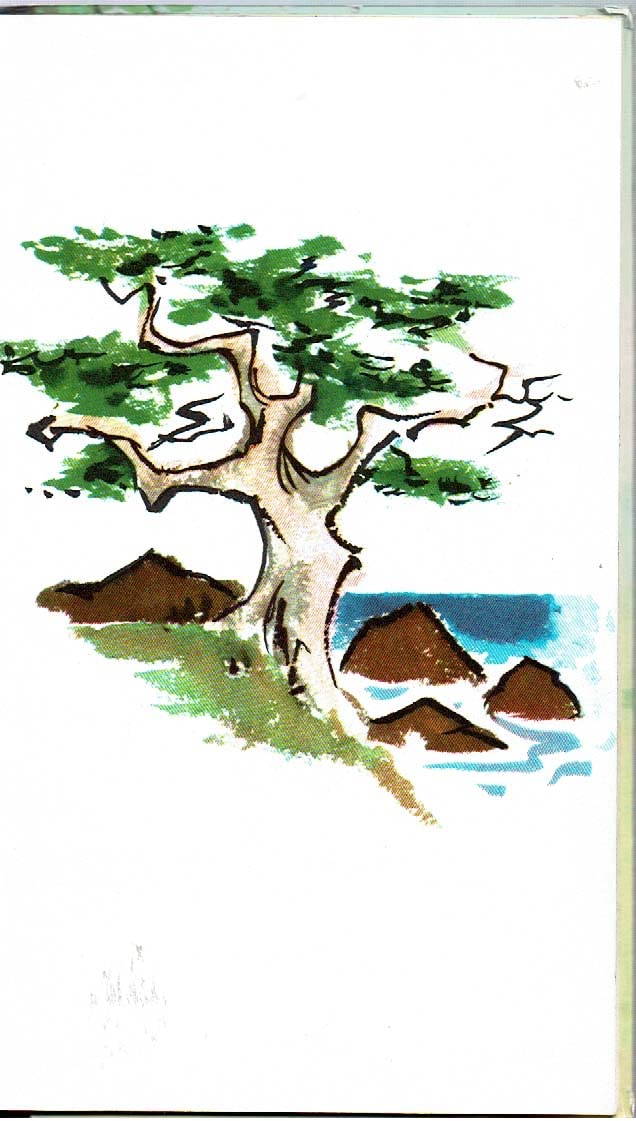 A Tree Is Nice: A Caldecott Award Winner