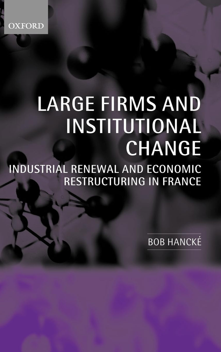 Large Firms and Institutional Change: Industrial Renewal and Economic Restructuring in France