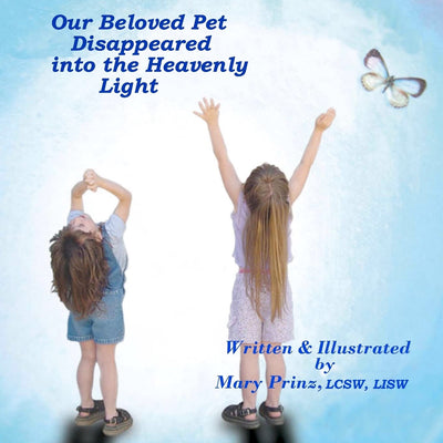 Our Beloved Pet Disappeared into the Heavenly Light (Into the Light Series)