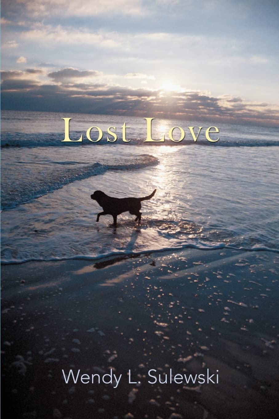 Lost Love