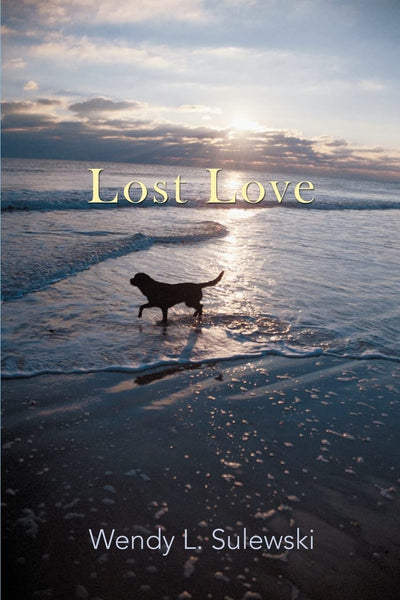 Lost Love