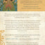 Women's Spirituality: Power and Grace
