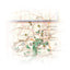 Colorado Backpack Loops North Map (National Geographic Topographic Map Guide, 1304)