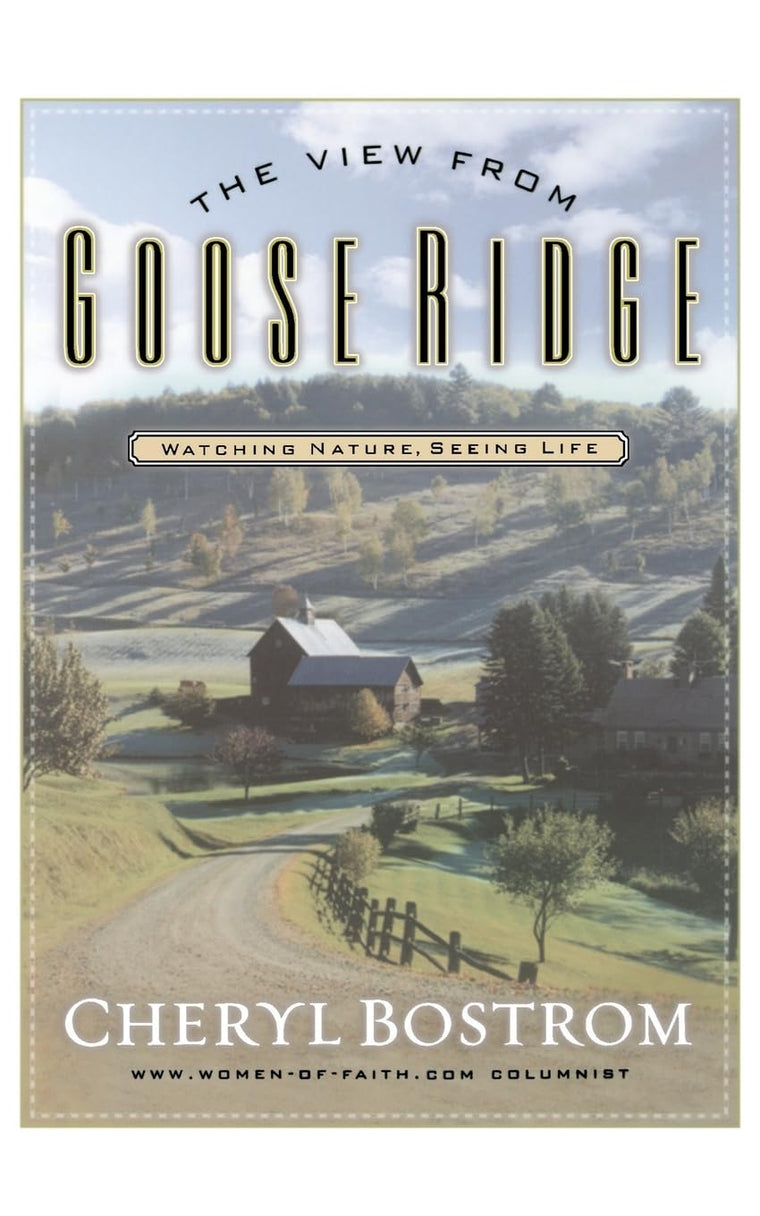 The View from Goose Ridge
