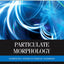 Particulate Morphology: Mathematics Applied to Particle Assemblies