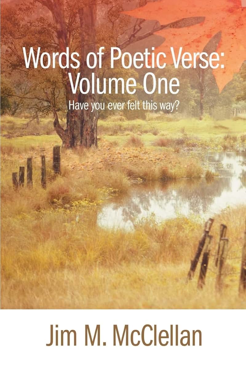 Words of Poetic Verse : Volume One: Have You Ever Felt This Way?