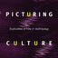 Picturing Culture: Explorations of Film and Anthropology by