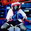 The Contender by Lipsyte, Robert