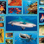 National Geographic Animal Encyclopedia: 2,500 Animals with Photos, Maps, and More!