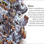 DK Readers L2: Marvel's Ultimate Villains (DK Readers Level 2)