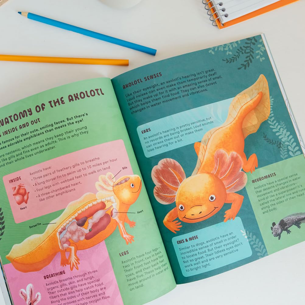Amazing Axolotls: An Activity Book for Kids with Coloring, Mazes, Crosswords, and More