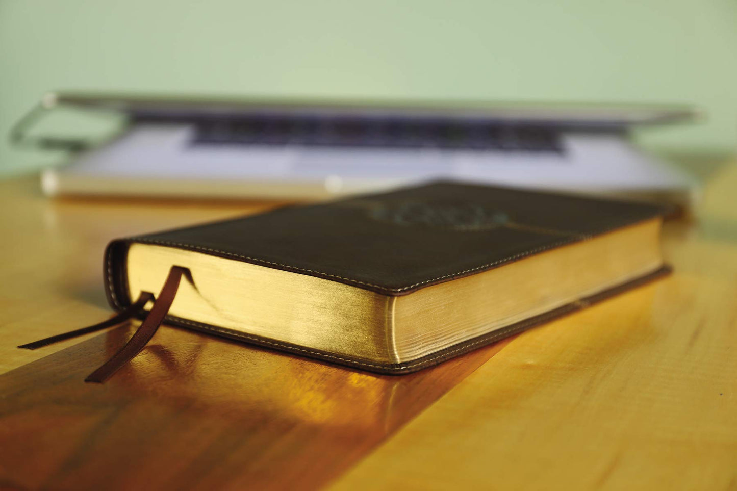 NIV, Thinline Reference Bible (Deep Study at a Portable Size