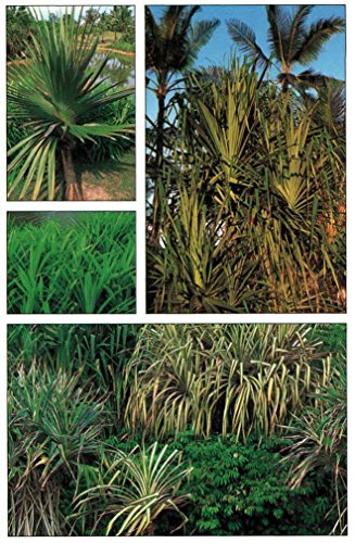 Handy Pocket Guide to Tropical Plants