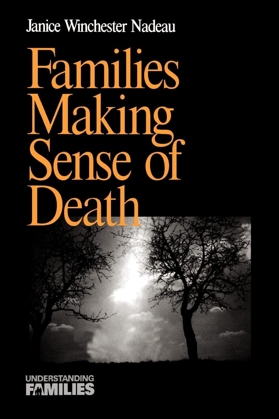 Families Making Sense of Death (Understanding Families series)