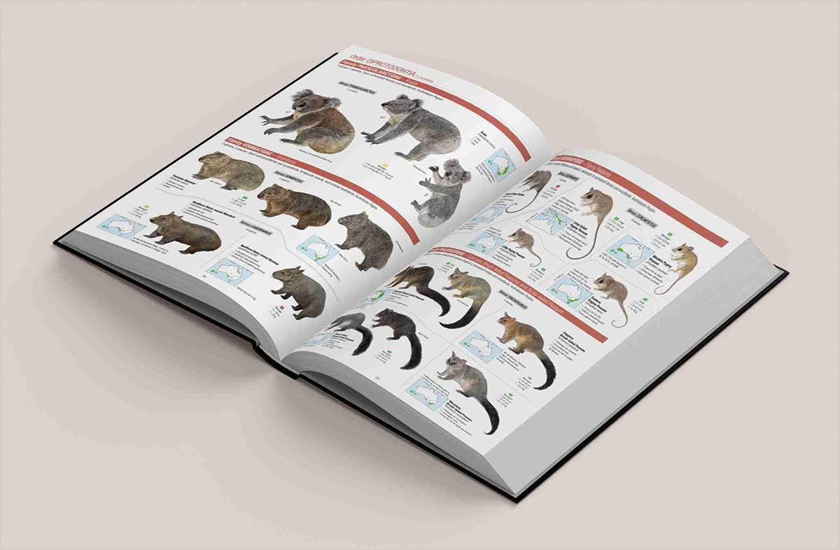 All the Mammals of the World