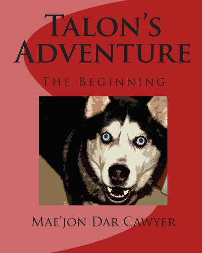 Talon's Adventure: The Adventures Begin (Talon's Adventures)