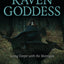 Pagan Portals - Raven Goddess