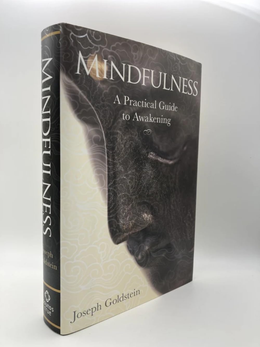 Mindfulness: A Practical Guide to Awakening by Goldstein, Jo