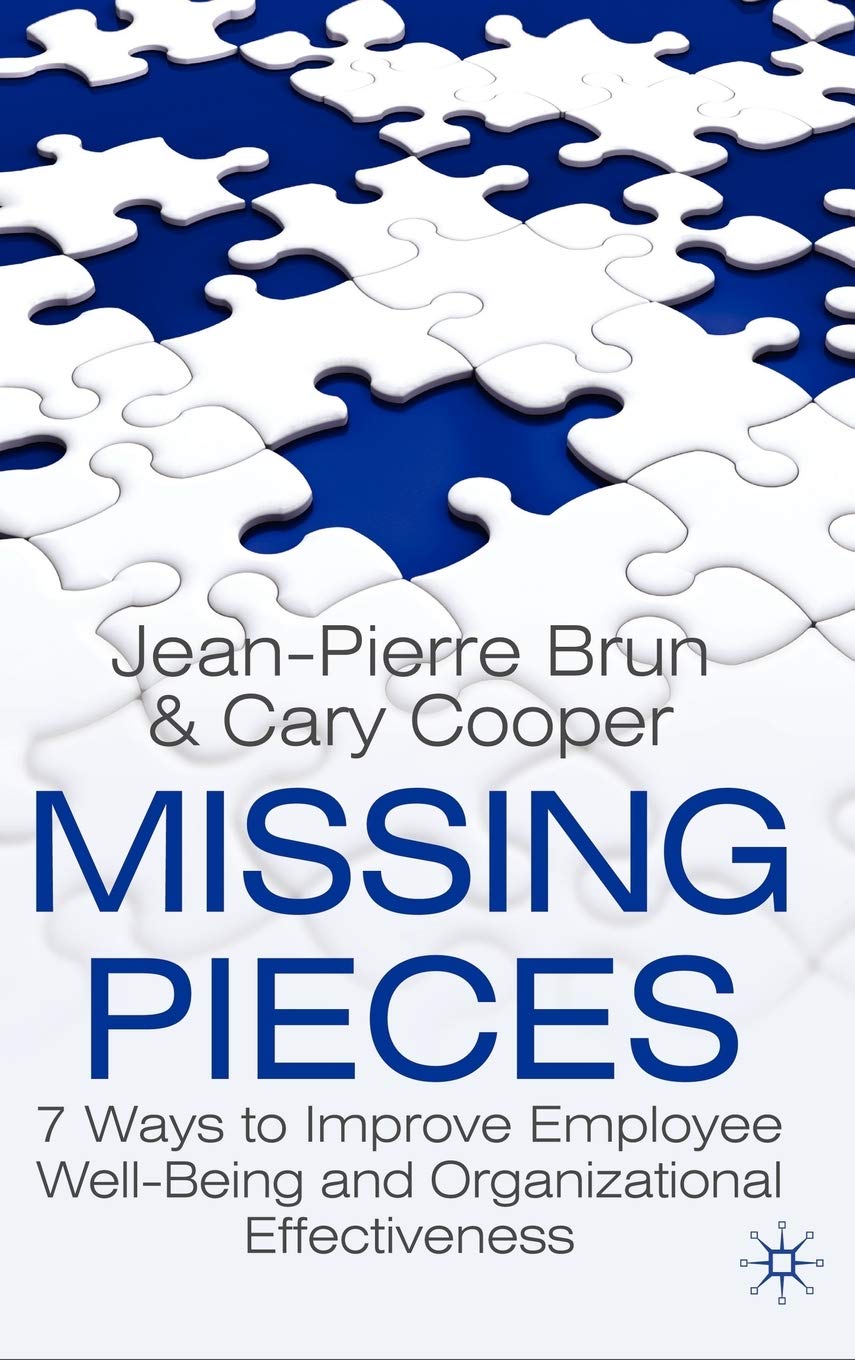 Missing Pieces: 7 Ways to Improve Employee Well-Being and Organizational Effectiveness