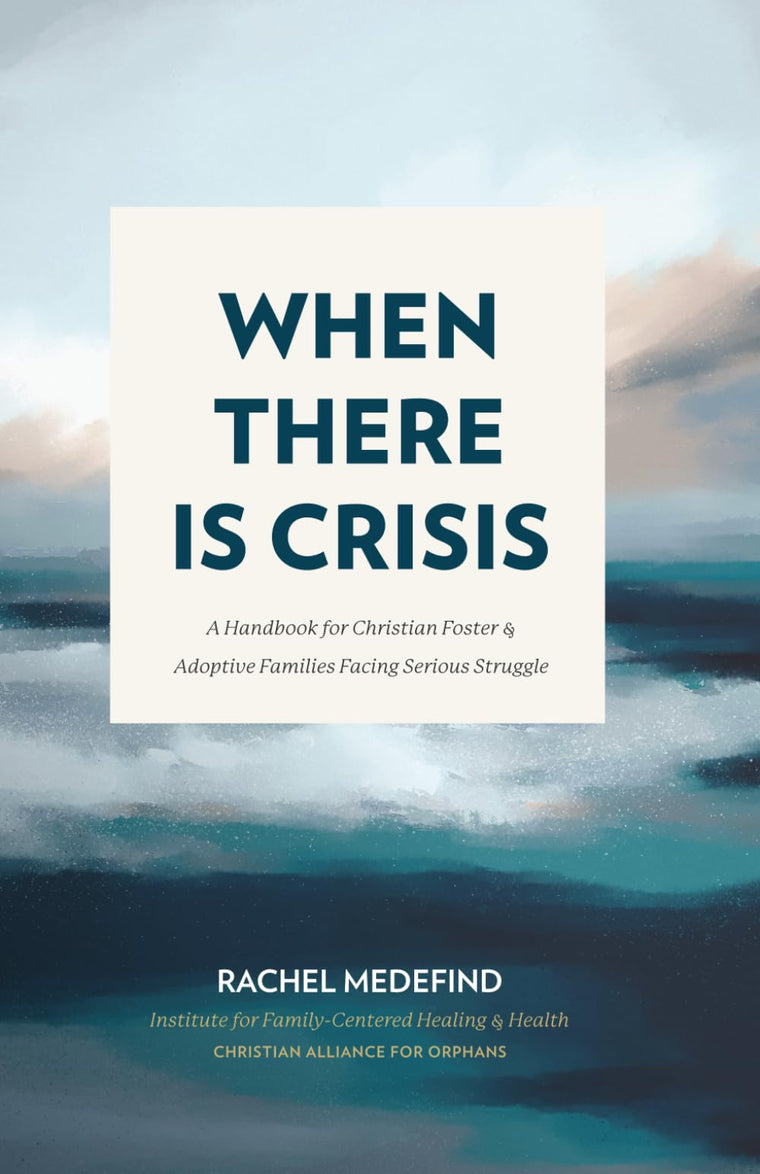 When There is Crisis: A Handbook for Christian Foster & Adoptive Families Facing Serious Struggle