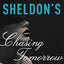 Sidney Sheldon's Chasing Tomorrow