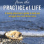 Pearls from the Practice of Life: A family physicians guide to struggle less and thrive more