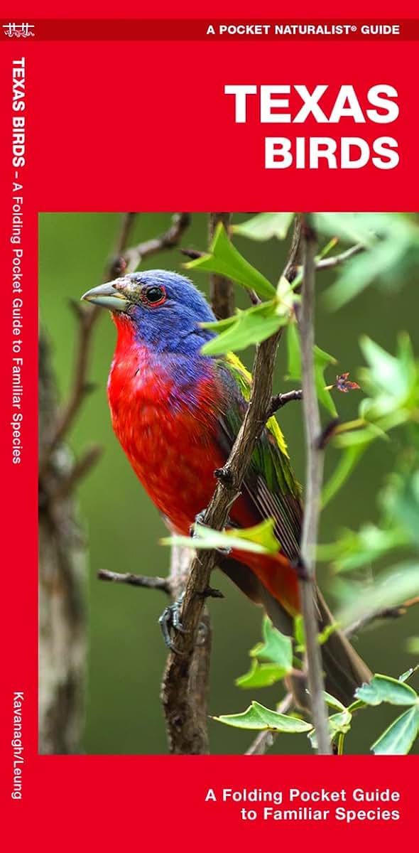 Texas Birds: A Folding Pocket Guide to Familiar Species (Wildlife and Nature Identification)