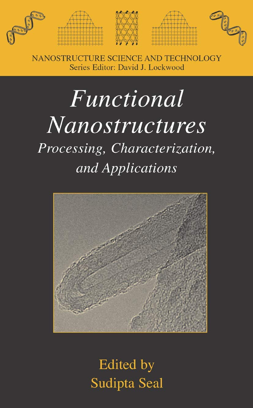 Functional Nanostructures: Processing, Characterization, and Applications (Nanostructure Science and Technology)