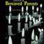 The Spiritual Lives of Bereaved Parents (Series in Death, Dying, and Bereavement)