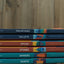 Sticks: Rooting Your Faith in Godly Wisdom When Your Decisions Matter the Most (Storyline Bible Studies)