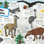 LEGO Animal Atlas: Discover the Animals of the World
