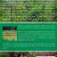 Secret Garden of Survival: How to Grow a Camouflaged Food Forest
