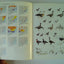 A Field Guide to the Birds of China