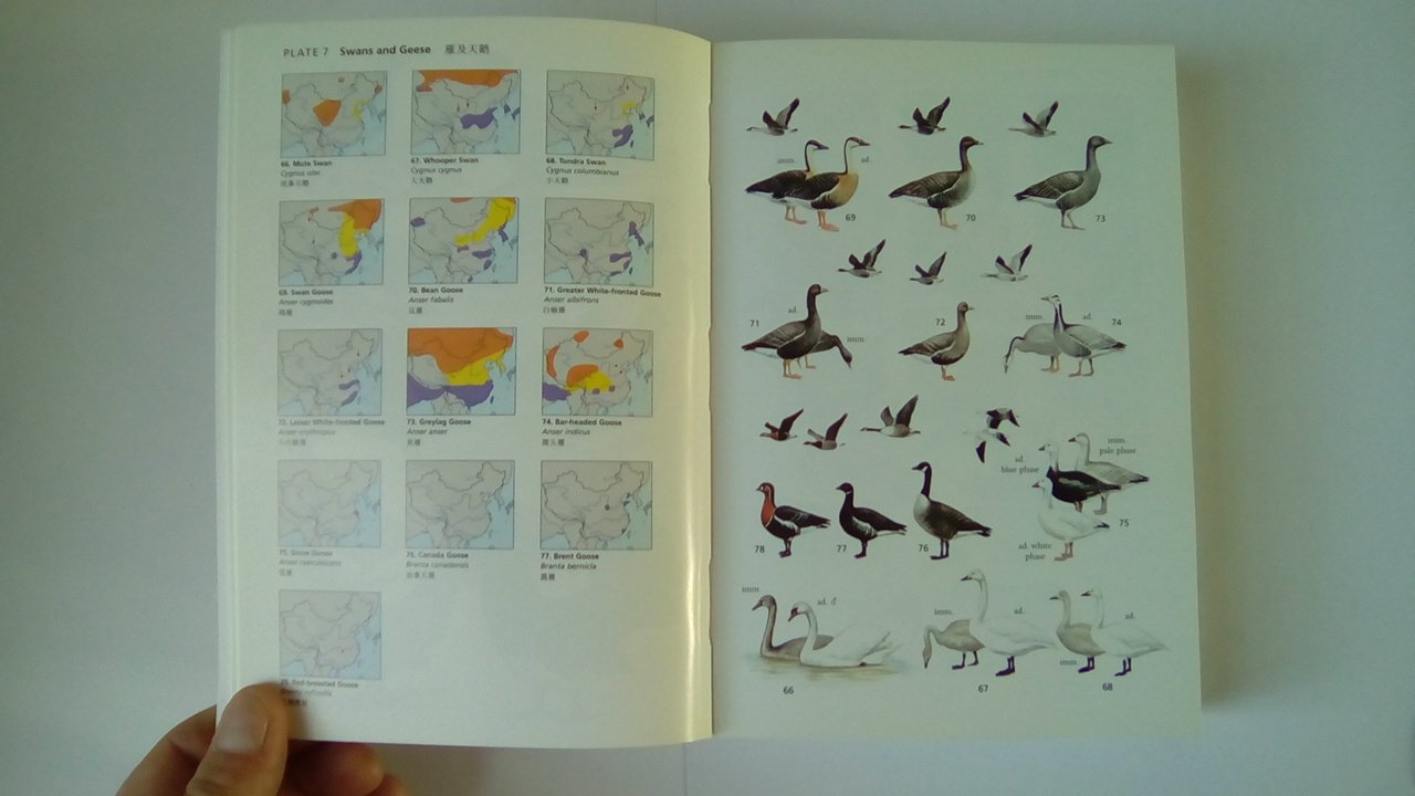 A Field Guide to the Birds of China