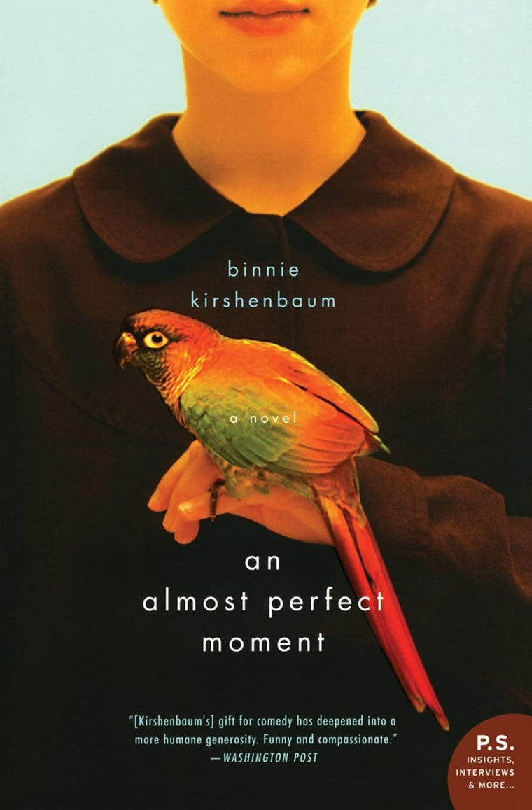 An Almost Perfect Moment: A Sorrowful and Hilarious Novel of Mothers and Daughters in 1970s Brooklyn